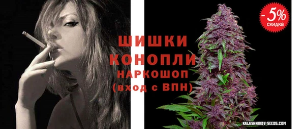 бошки Алексин