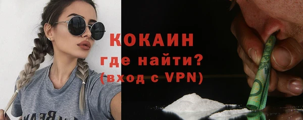 бошки Алексин