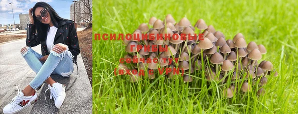бошки Алексин