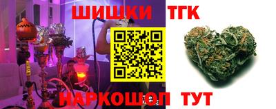 гашик Новозыбков